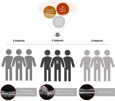 Novel Possible Protein Targets in Neovascular Age-Related Macular Degeneration: A Pilot Study Experiment